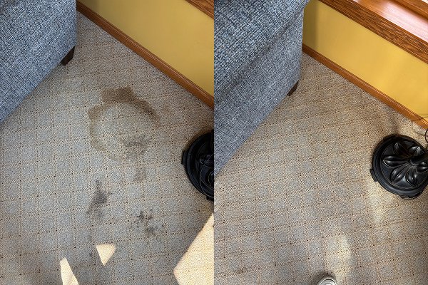 Professional Carpet Cleaning Before & After | Juli’s Cleaning