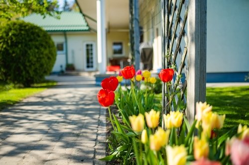 WINDOW CLEANING FOR SPRING